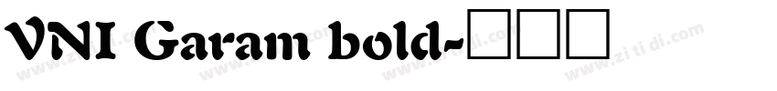 VNI Garam bold字体转换